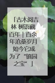 古木阅吉林 树语藏百年｜百余年沧桑岁月 如今它成为了“镇园之宝”