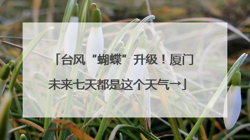 台风“蝴蝶”升级！厦门未来七天都是这个天气→