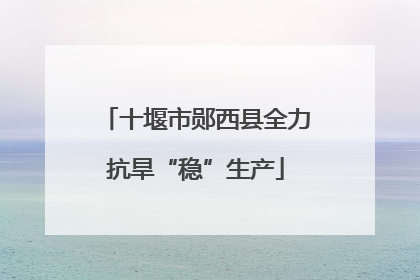 十堰市郧西县全力抗旱“稳”生产