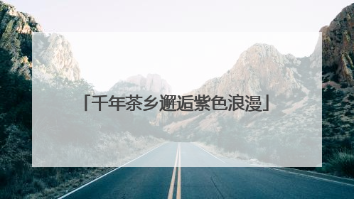 千年茶乡邂逅紫色浪漫