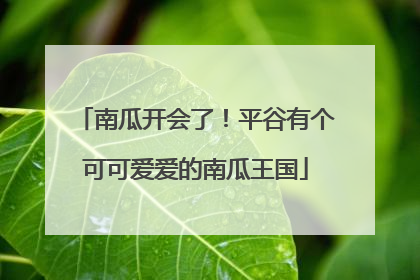 南瓜开会了！平谷有个可可爱爱的南瓜王国