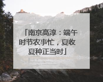 南京高淳：端午时节农事忙，夏收夏种正当时