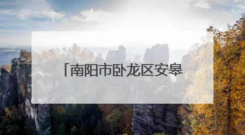 南阳市卧龙区安皋镇：以行动排查水域 用责任守护安全