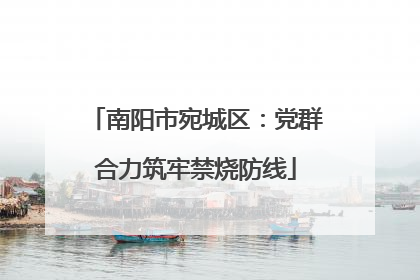 南阳市宛城区：党群合力筑牢禁烧防线