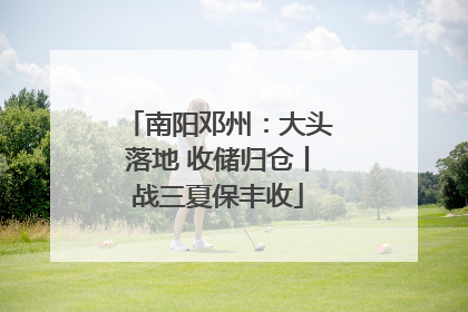 南阳邓州：大头落地 收储归仓丨战三夏保丰收