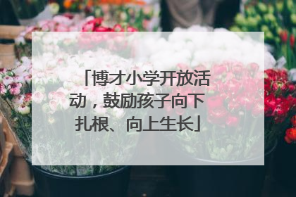 博才小学开放活动，鼓励孩子向下扎根、向上生长