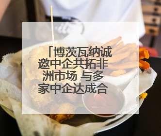 博茨瓦纳诚邀中企共拓非洲市场 与多家中企达成合作协议