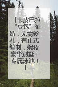 卡皮巴拉“豆包”征婚：无需彩礼，有正式编制，嫁妆豪华别墅＋专属泳池！