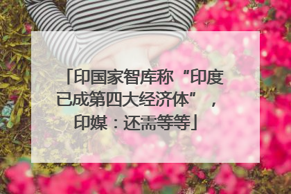 印国家智库称“印度已成第四大经济体”，印媒：还需等等
