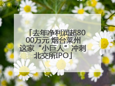 去年净利润超8000万元 烟台莱州这家“小巨人”冲刺北交所IPO