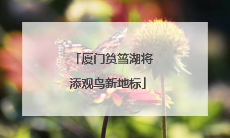 厦门筼筜湖将添观鸟新地标