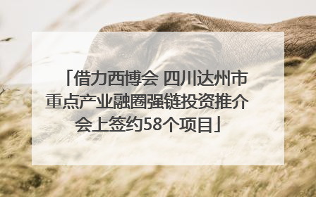 借力西博会 四川达州市重点产业融圈强链投资推介会上签约58个项目