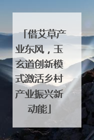 借艾草产业东风，玉玄道创新模式激活乡村产业振兴新动能