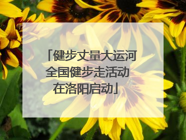健步丈量大运河 全国健步走活动在洛阳启动