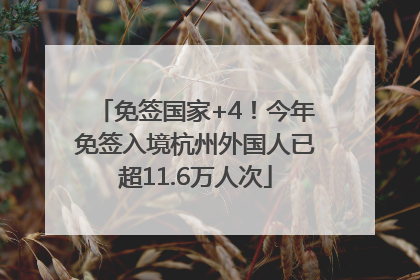 免签国家+4！今年免签入境杭州外国人已超11.6万人次
