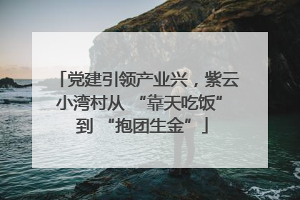 党建引领产业兴，紫云小湾村从 “靠天吃饭” 到 “抱团生金”