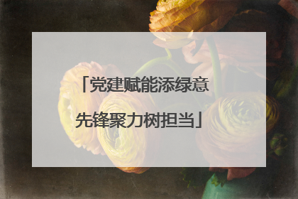 党建赋能添绿意 先锋聚力树担当