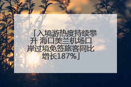 入境游热度持续攀升 海口美兰机场口岸过境免签旅客同比增长187%