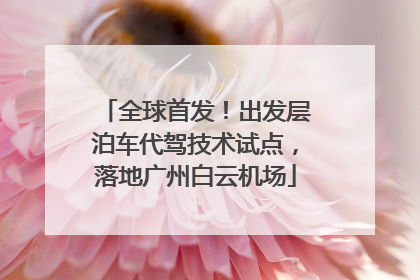 全球首发！出发层泊车代驾技术试点，落地广州白云机场
