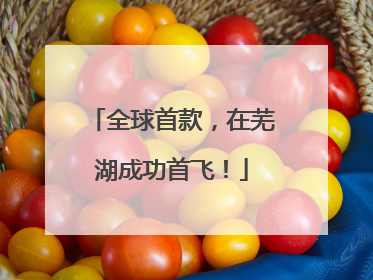 全球首款，在芜湖成功首飞！
