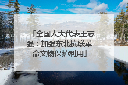 全国人大代表王志强：加强东北抗联革命文物保护利用