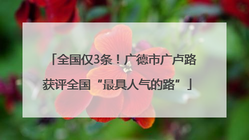 全国仅3条！广德市广卢路获评全国“最具人气的路”