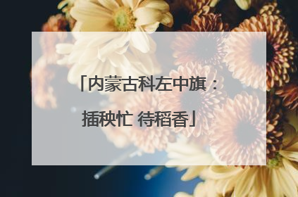 内蒙古科左中旗：插秧忙 待稻香