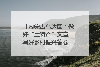 内蒙古乌达区：做好“土特产”文章 写好乡村振兴答卷