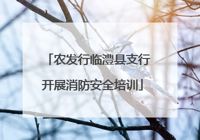农发行临澧县支行开展消防安全培训