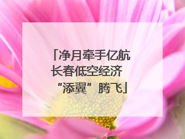 净月牵手亿航 长春低空经济“添翼”腾飞