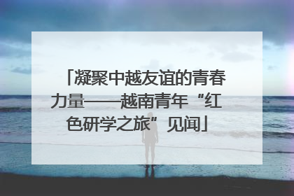 凝聚中越友谊的青春力量——越南青年“红色研学之旅”见闻
