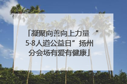 凝聚向善向上力量 “5·8人道公益日”扬州分会场有爱有健康