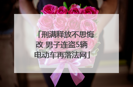 刑满释放不思悔改 男子连盗5辆电动车再落法网