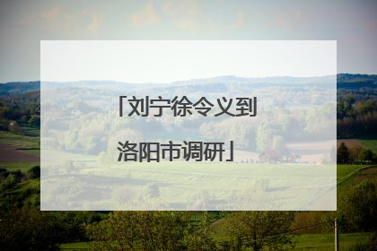 刘宁徐令义到洛阳市调研