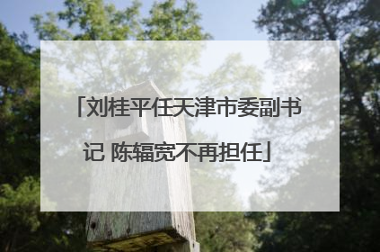 刘桂平任天津市委副书记 陈辐宽不再担任