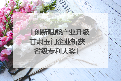 创新赋能产业升级 甘肃玉门企业斩获省级专利大奖