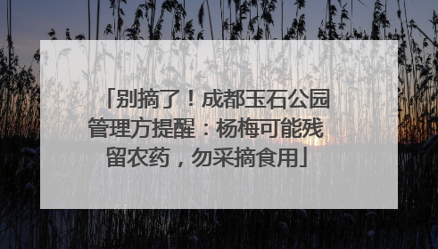 别摘了！成都玉石公园管理方提醒：杨梅可能残留农药，勿采摘食用