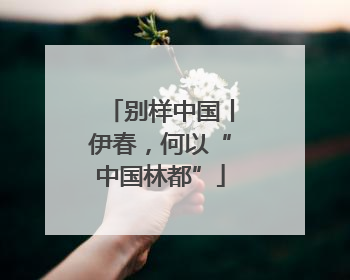 别样中国丨伊春，何以“中国林都”