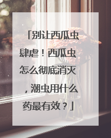 别让西瓜虫肆虐！西瓜虫怎么彻底消灭，潮虫用什么药最有效？