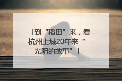 到“稻田”来，看杭州上城20年来“光阴的故事”