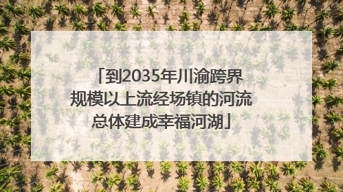到2035年川渝跨界规模以上流经场镇的河流总体建成幸福河湖