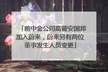 前中金公司高管安国邦加入蔚来，蔚来另有两位董事发生人员变更