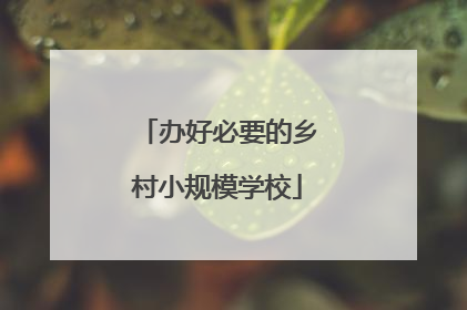 办好必要的乡村小规模学校