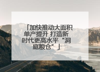 加快推动大面积单产提升 打造新时代更高水平“洞庭粮仓”