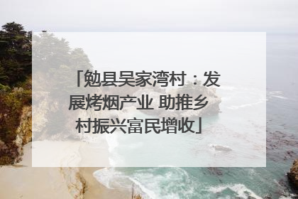 勉县吴家湾村：发展烤烟产业 助推乡村振兴富民增收