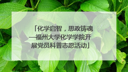 化学启智，思政铸魂—福州大学化学学院开展党员科普志愿活动