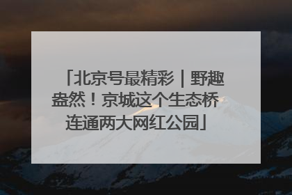 北京号最精彩｜野趣盎然！京城这个生态桥连通两大网红公园