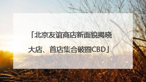 北京友谊商店新面貌揭晓 大店、首店集合破圈CBD