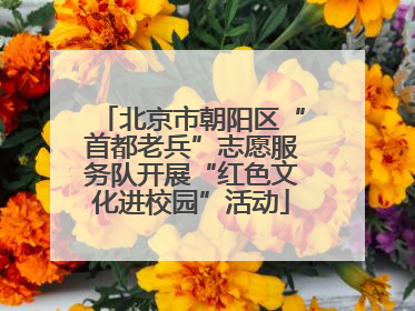 北京市朝阳区“首都老兵”志愿服务队开展“红色文化进校园”活动