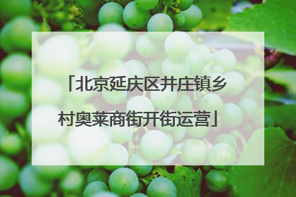 北京延庆区井庄镇乡村奥莱商街开街运营